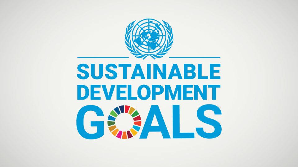 UN Sustainable Development Goals